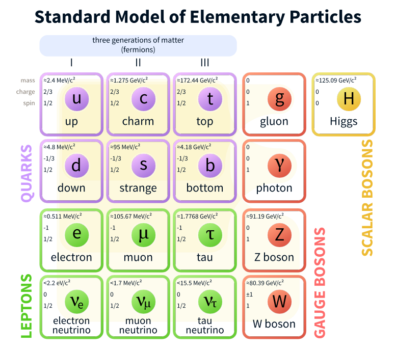 The particles of the SM