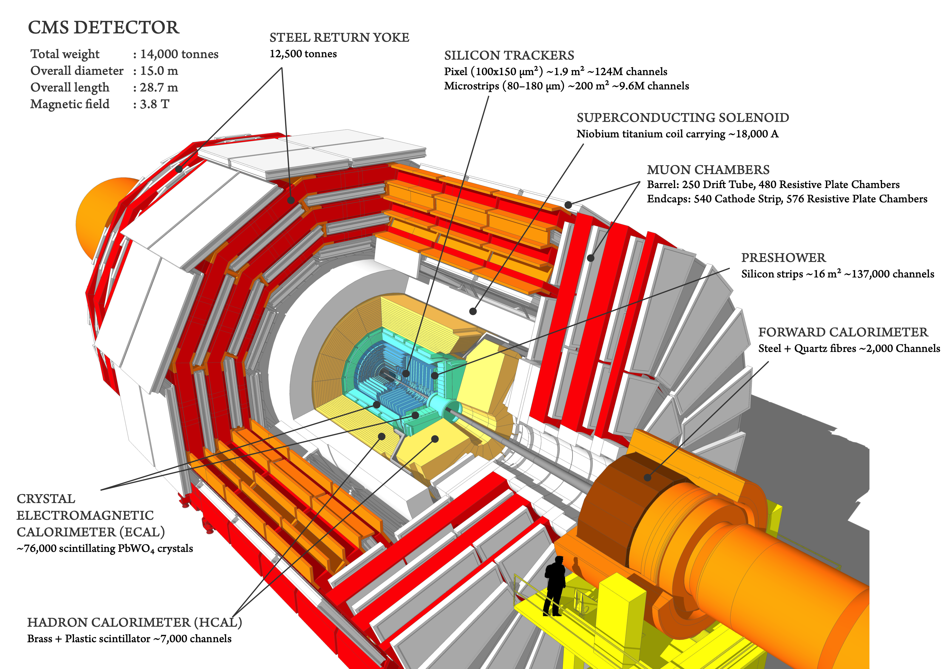 Cutout view of the CMS detector. Note the nested design with a distinct cylindrical 